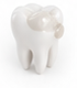 Dental Fillings illustration